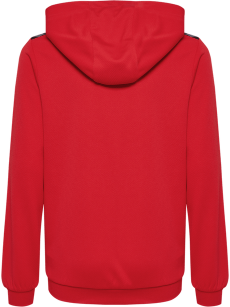 Hummel Youth Authentic Pl Hoodie Hummel