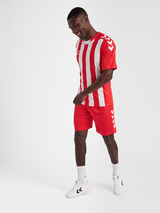Hummel Men's Core XK Striped Short Sleeve Jersey Hummel