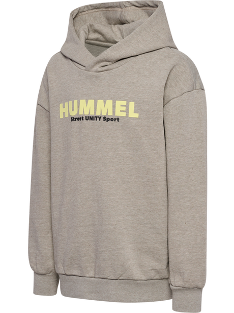 Hummel Youth Zen Hoodie Hummel