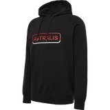 Hummel Men's Astralis Hoodie Hummel