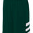 A4 Mens Reversible Speedway Short A4