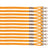 Champion Sports Nylon Lanyard - Pack of 12 Champion Sports