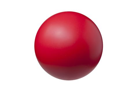 Champion Sports Coated High Density Foam Ball Champion Sports