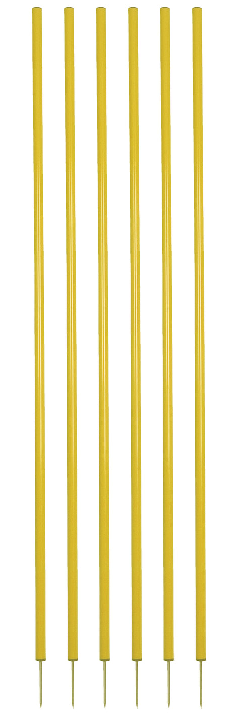 Champion Sports Coaching Sticks Set of 6 Champion Sports