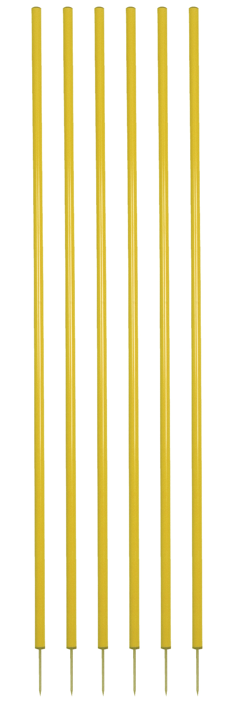 Champion Sports Coaching Sticks Set of 6
