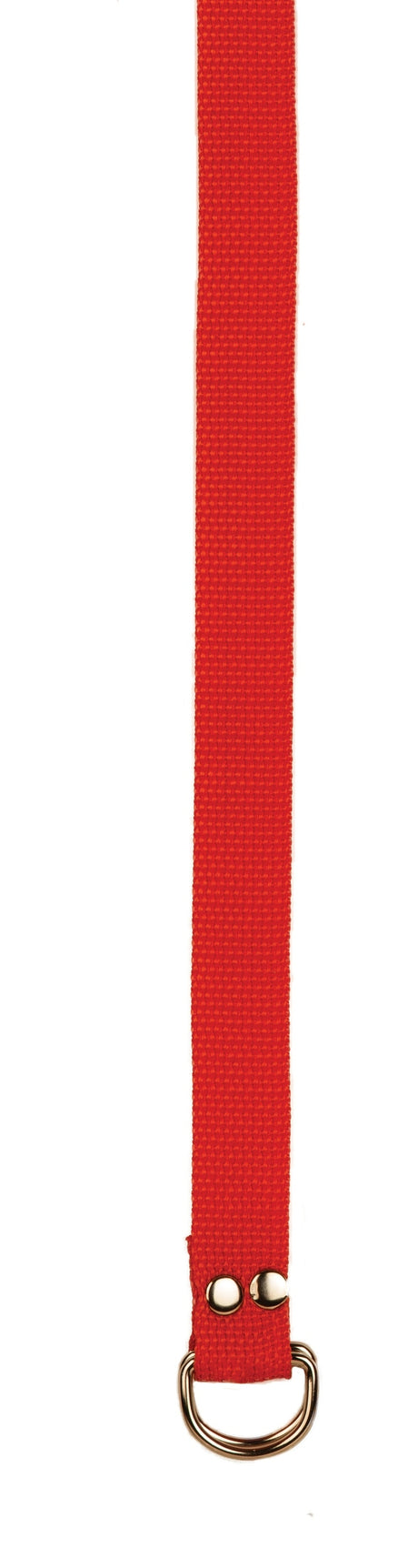 Champion Sports Football Belt Champion Sports