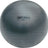 Champion Sports Fitpro BRT Training & Exercise Ball Champion Sports