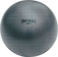 Champion Sports Fitpro BRT Training & Exercise Ball Champion Sports