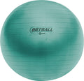 Champion Sports Fitpro BRT Training & Exercise Ball Champion Sports