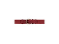 Champion Sports Uniform Belt Champion