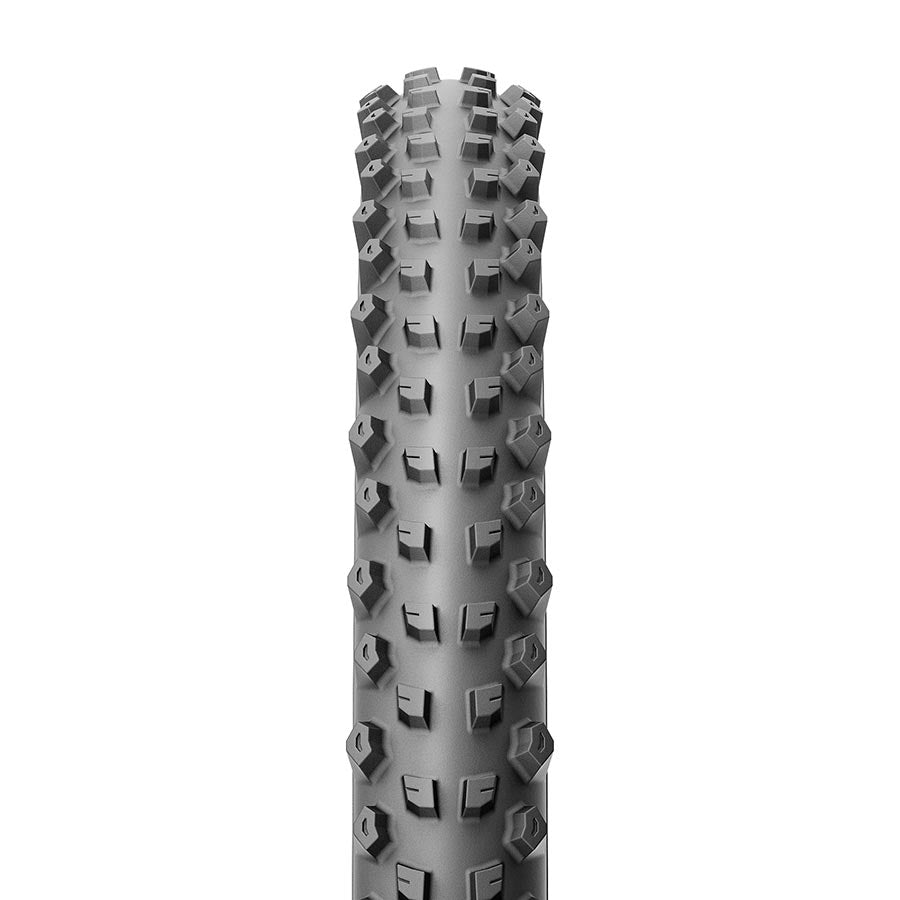 Pirelli Scorpion Race DH S Mountain Tire Bicycle Tires/Tubes Tires