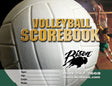 Bison Volleyball Team Scorebook Volleyball Nets & Court Equipment All