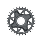 SRAM GX Eagle T-Type DM Chainring Bicycle Parts Chainring