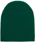 Yupoong Adult Knit Beanie Yupoong