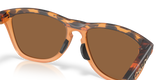 Oakley Frogskins Range XL A Glasses-7