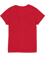 Hanes Ladies' Perfect-T Triblend V-Neck T-shirt Hanes