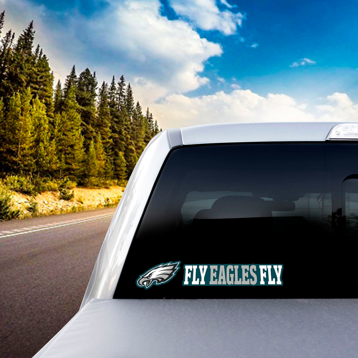 Fanmats Philadelphia Eagles 2 Piece Team Slogan Decal Sticker Set Fan Gear NFL Philadelphia Eagles