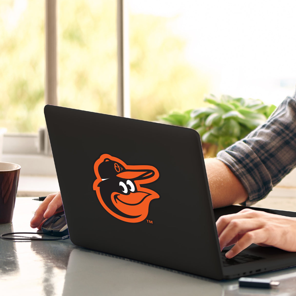 Fanmats Baltimore Orioles Matte Decal Sticker