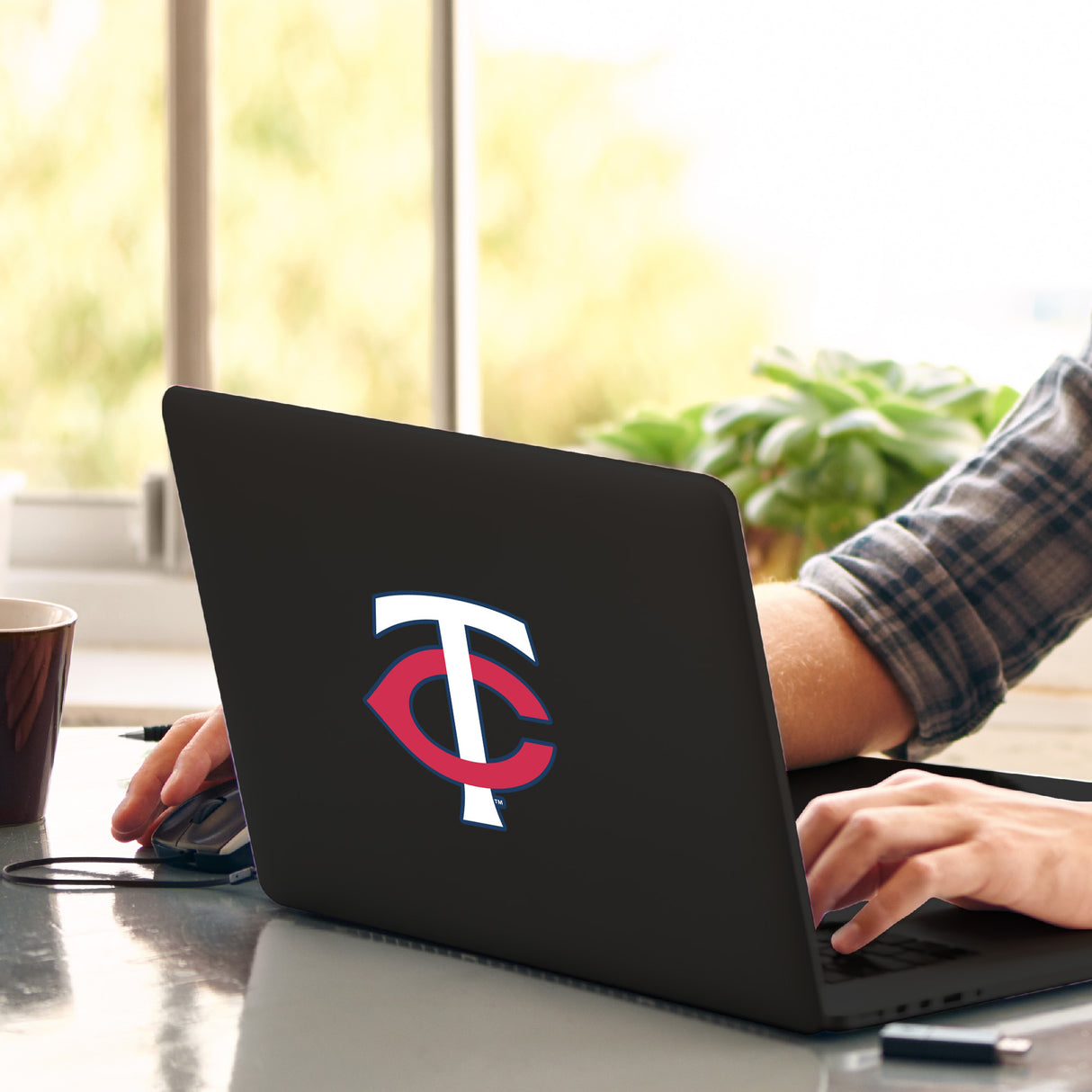 Fanmats Minnesota Twins Matte Decal Sticker