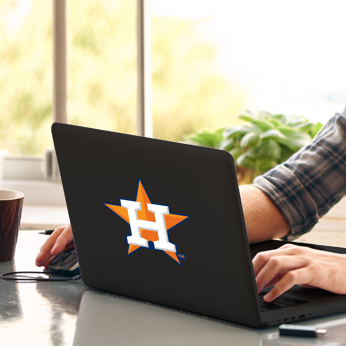 Fanmats Houston Astros Matte Decal Sticker