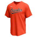 Nike Baltimore Orioles Adult Institutional 1 Button Pullover