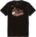 Nike Quad Cities River Bandits Youth Quad City River Bandits Tee