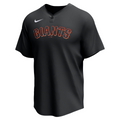 Nike San Francisco Giants Adult Institutional 1 Button Pullover Fan Gear MLB San Francisco Giants
