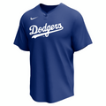 Nike Los Angeles Dodgers Adult Institutional 1 Button Pullover Fan Gear MLB Los Angeles Dodgers