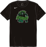 Nike Eugene Emeralds Youth Institutional Short Sleeve Cotton Tee Fan Gear MiLB Eugene Emeralds