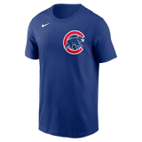 Nike Chicago Cubs Adult Institiutional Short Sleeve Cotton Tee Fan Gear MLB Chicago Cubs