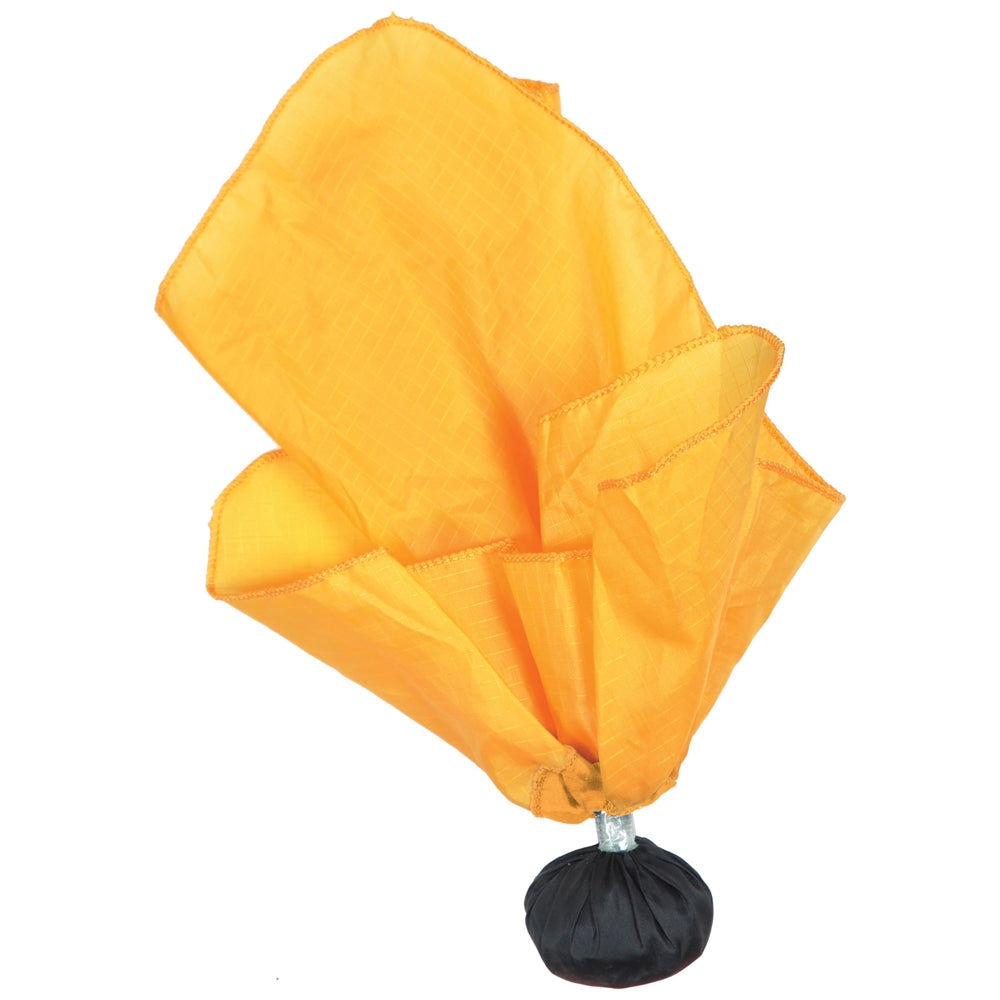 Champro Flag with Ball