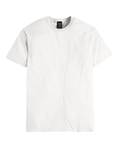 Hanes Men's Perfect-T DTG T-Shirt