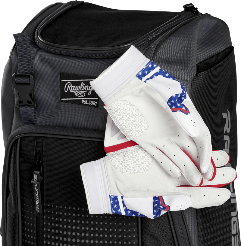 Rawlings Franchise Youth Players Backpack