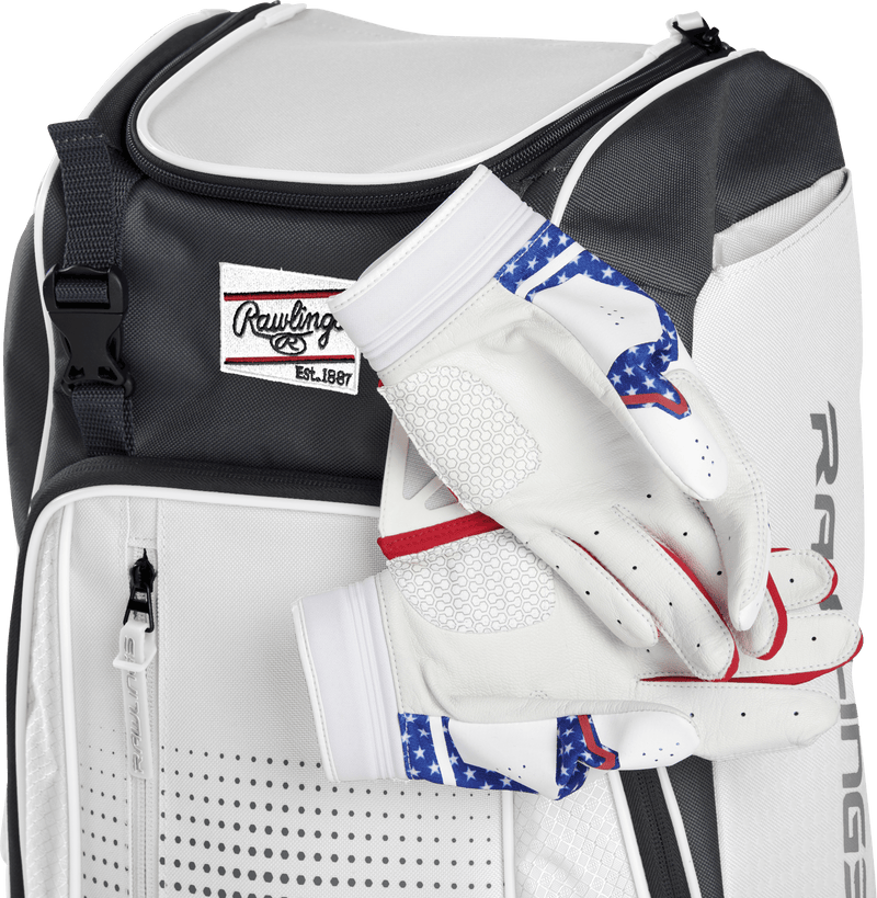 Rawlings Franchise Youth Players Backpack