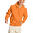Hanes Unisex Ecosmart® 50/50 Pullover Hooded Sweatshirt Hanes