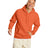 Hanes Unisex Ecosmart® 50/50 Pullover Hooded Sweatshirt Hanes