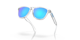 Oakley Frogskins Glasses-9