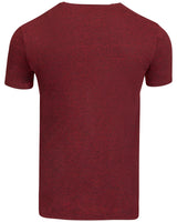 Threadfast Apparel Unisex Triblend Short-Sleeve T-Shirt Threadfast Apparel