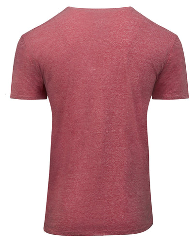 Threadfast Apparel Unisex Triblend Short-Sleeve T-Shirt
