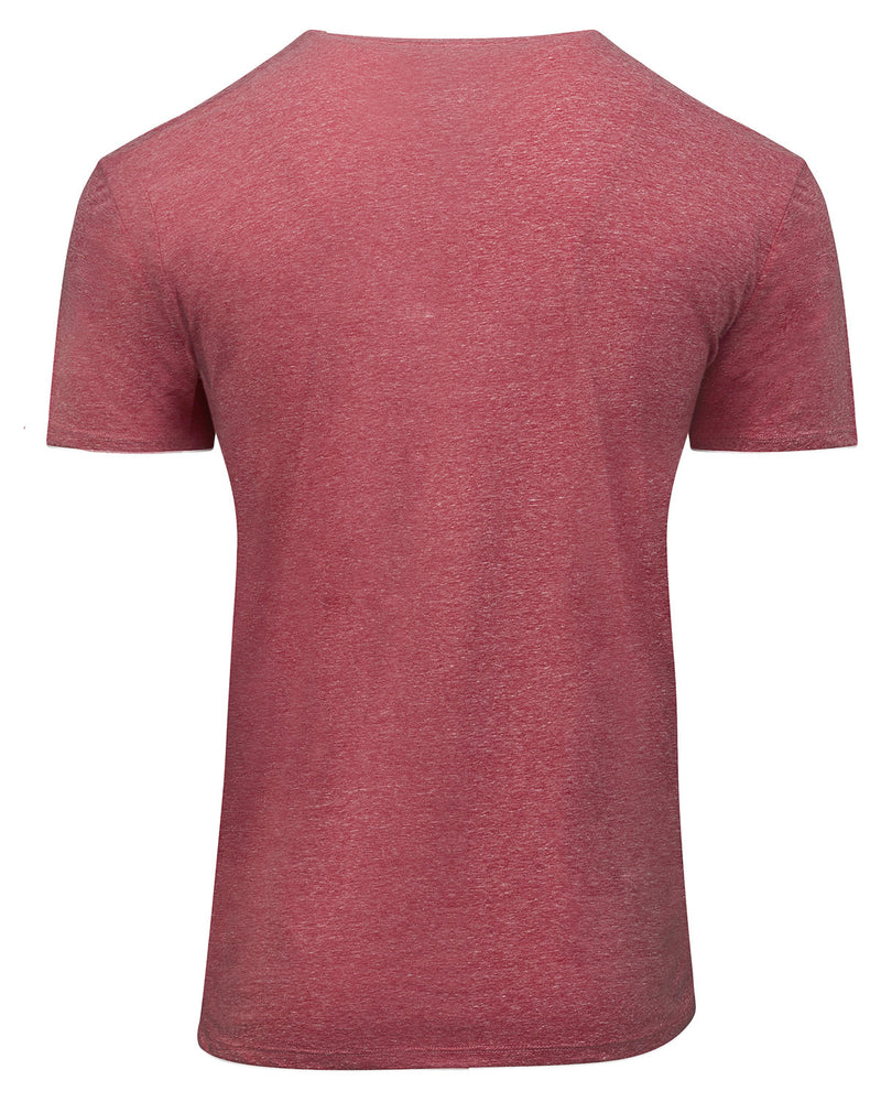 Threadfast Apparel Unisex Triblend Short-Sleeve T-Shirt