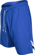 Rawlings Men's ColorSync Training Short Rawlings