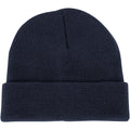 Champro Polar Cuff Beanie Champro