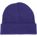 Champro Polar Cuff Beanie Champro