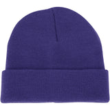 Champro Polar Cuff Beanie Champro
