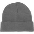 Champro Polar Cuff Beanie Champro