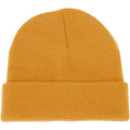 Champro Polar Cuff Beanie Champro