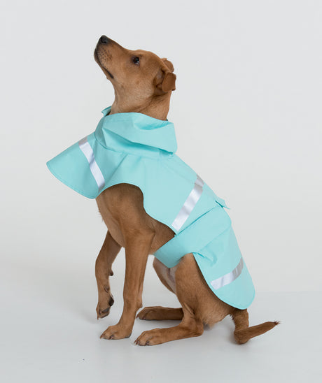Charles River New Englander Doggie Rain Jacket Charles River