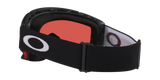 Oakley Flow Scape AF M Snow Goggles-7