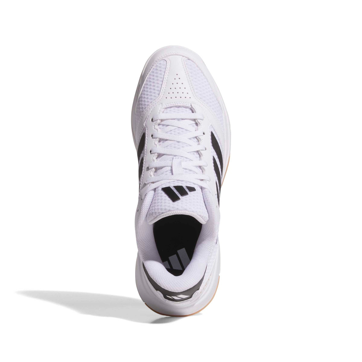adidas Women's Ligra 8 Volleyball Shoes Volleyball Footwear Adult