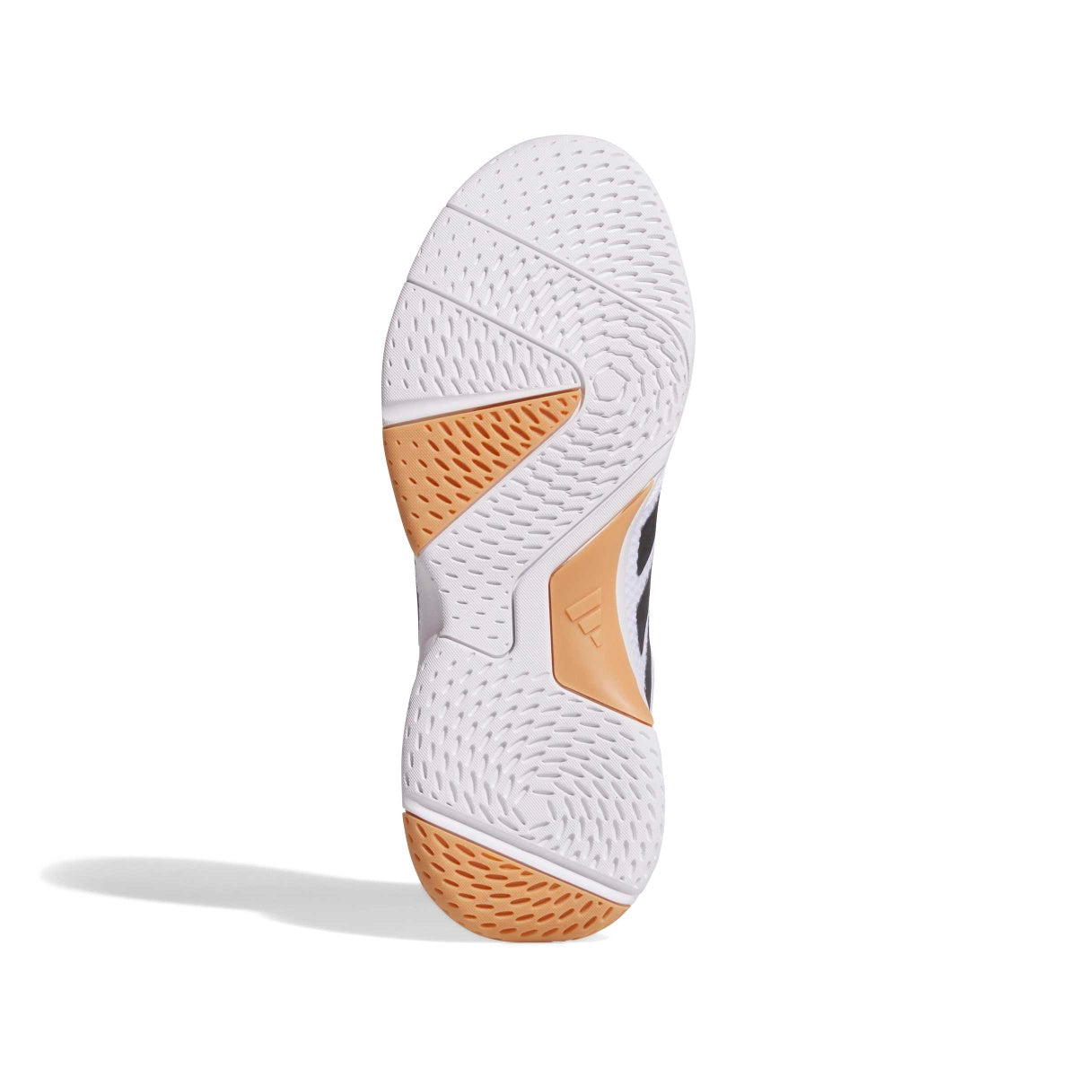 adidas Women's Ligra 8 Volleyball Shoes Volleyball Footwear Adult